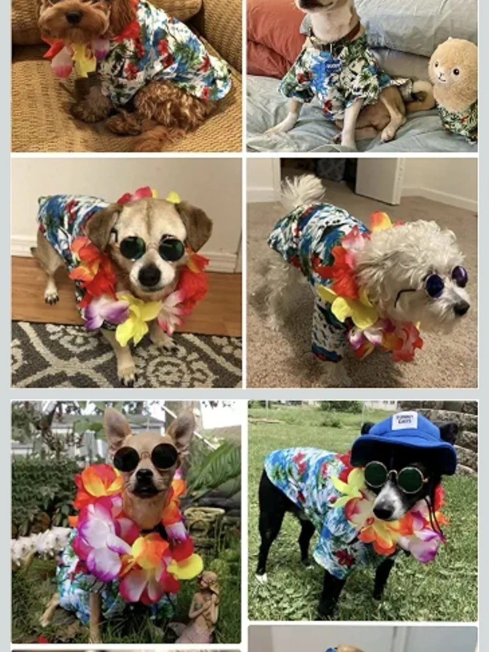 Green Hawaiian Luau Kids Costume Set - Floral Shirt, Lei & Sunglasses